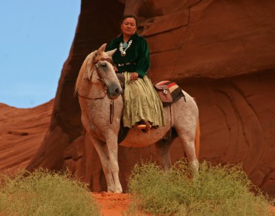 MODEL: NAVAJO SHEPHERD