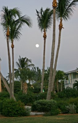 SANIBEL ISLAND: MOON RISE