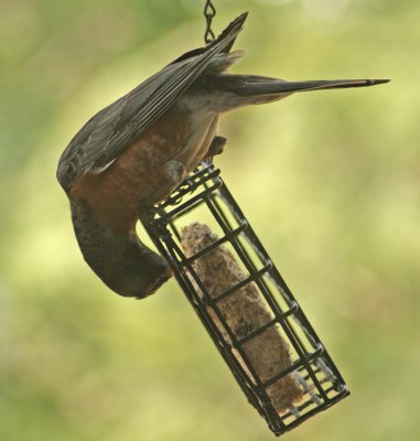 STRETCH AND BEND!