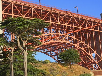 BRIDGE SUPPORTS