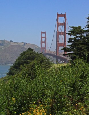 THE BRIDGE
