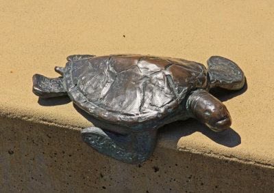 TURTLE SCULPTURE