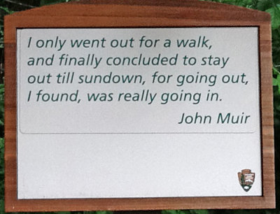 WISDOM OF JOHN MUIR