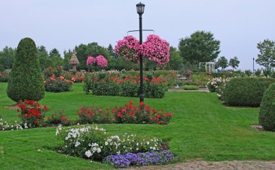VIEW OF ROSE GARDEN