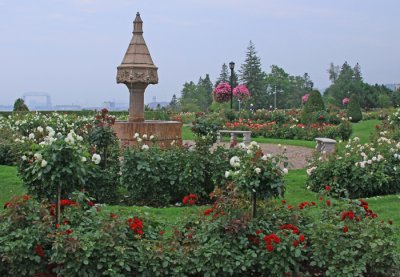 ROSE GARDEN