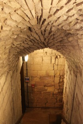 STEPS TO DUNGEON!!  VIII
