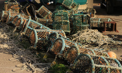LOBSTER TRAPS