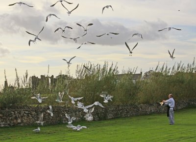 FISH AND CHIPS VENDER FEEDING LOCAL SEA BIRDS