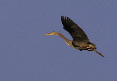 APPROACHING LANDING PATTERN