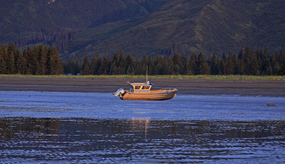 BOAT STRANDED AT LOW TIDE