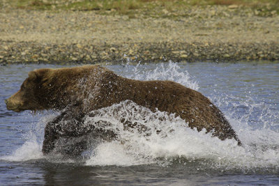 THE CHASE III