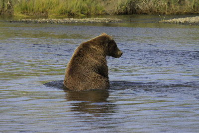 COOLING OFF