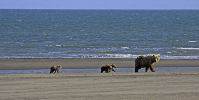 WALK ON THE BEACH