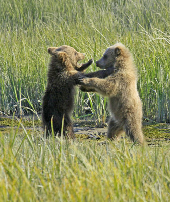 BOXING MATCH