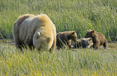 FAMILY TOGETHERNESS