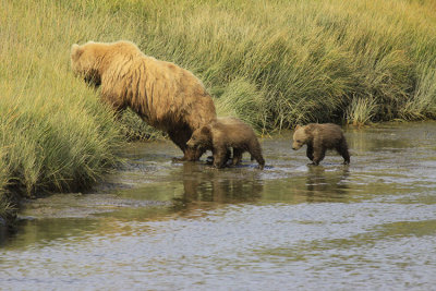 CROSSING THE CREEK