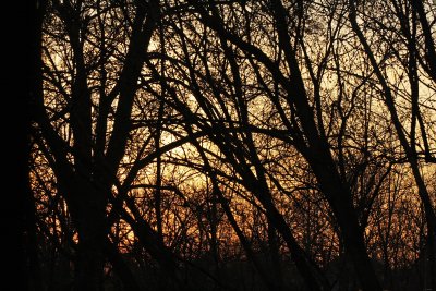 spring time sunset