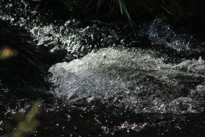 godrich oct 2011 046_edited-1.jpg