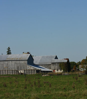 godrich oct 2011 068_edited-1.jpg