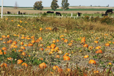 godrich oct 2011 084_edited-1.jpg