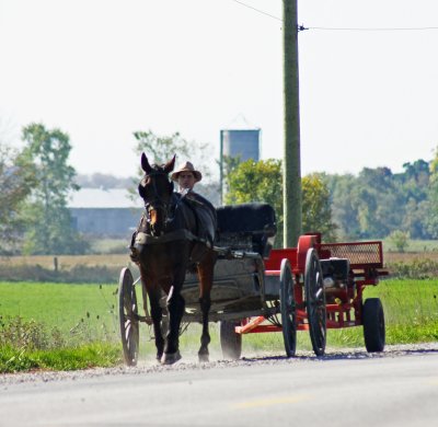 godrich oct 2011 090_edited-1.jpg