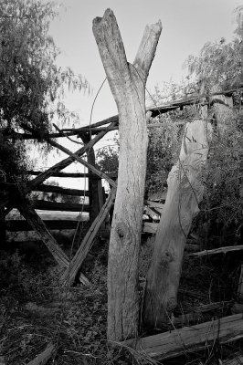 Milking shed