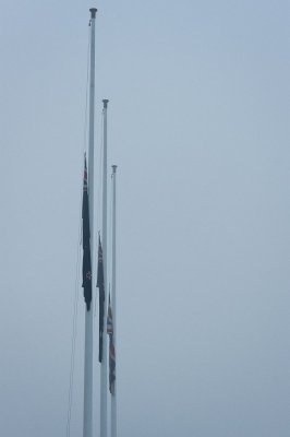Half-mast in mist