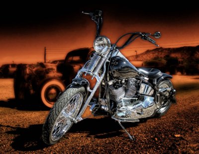 '89 Harley Springer