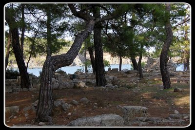 g4/78/945278/3/139727752.Gt8d0x1W.jpg