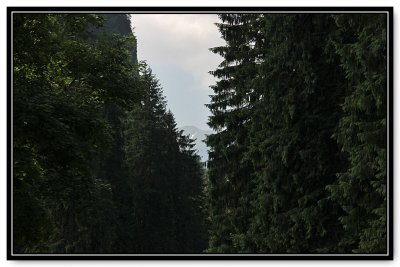 g4/78/945278/3/144673068.PLmHJykY.jpg