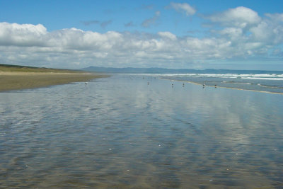 New Zealand