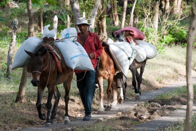 Transportation on Ometepe Island, Nicaragua