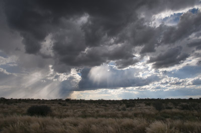 Scenery in Kalahari Desert, Namibia