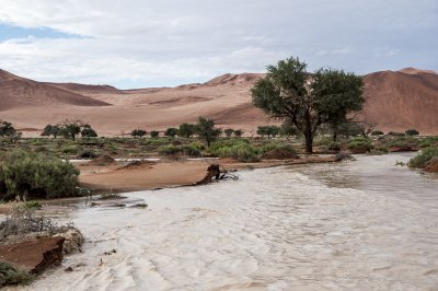 Sossusvlei