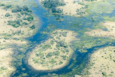 Okavango Delta, Botswana