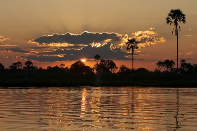 Sunset Okavango Delta, Botswana