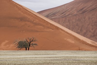Sossusvlei