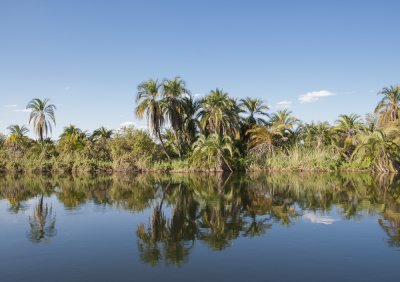 Okavango River, Botswana