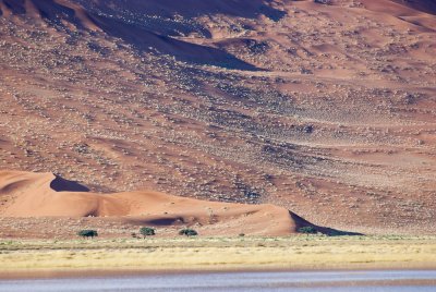 Sossusvlei
