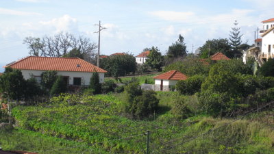 IMG_1686.jpg