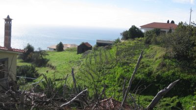 IMG_1688.jpg