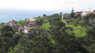 IMG_1693.jpg