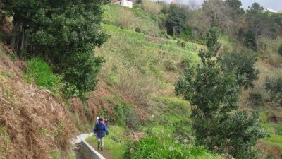 IMG_1763.jpg