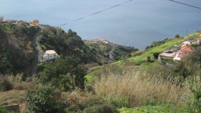 IMG_1773.jpg