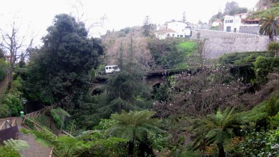 IMG_1782.jpg