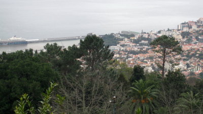 IMG_1784.jpg