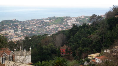 IMG_1785.jpg