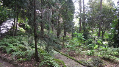 IMG_1787.jpg