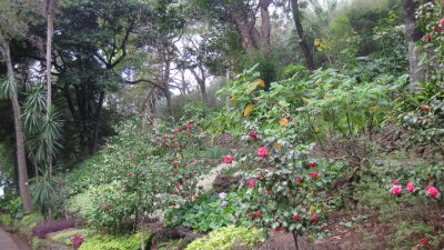 IMG_1789.jpg