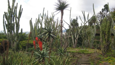 IMG_1793.jpg